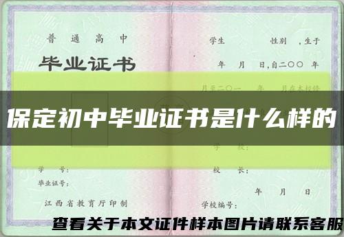 保定初中毕业证书是什么样的缩略图