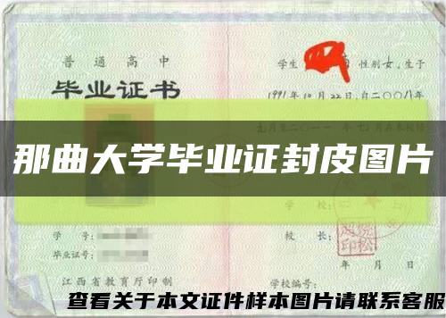 那曲大学毕业证封皮图片缩略图