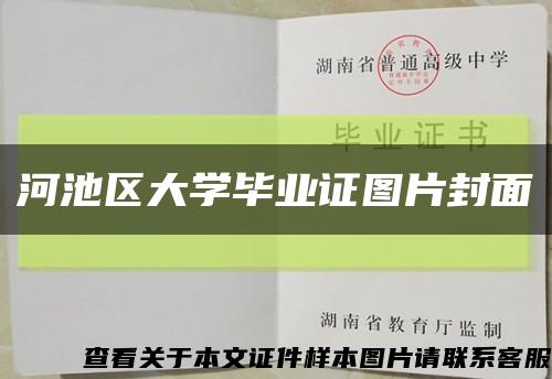 河池区大学毕业证图片封面缩略图