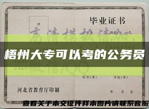 梧州大专可以考的公务员缩略图