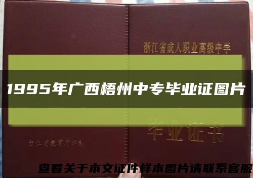 1995年广西梧州中专毕业证图片缩略图