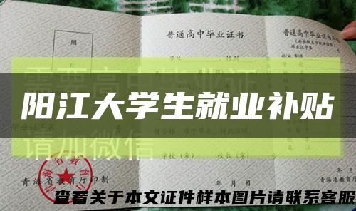 阳江大学生就业补贴缩略图