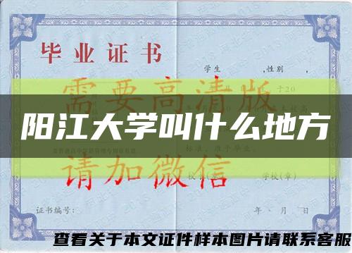 阳江大学叫什么地方缩略图
