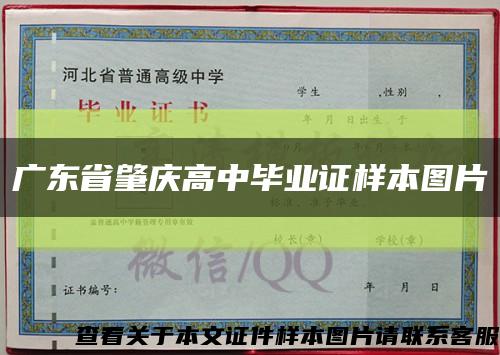 广东省肇庆高中毕业证样本图片缩略图
