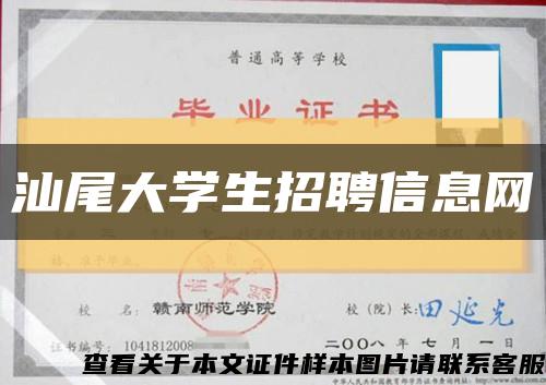 汕尾大学生招聘信息网缩略图