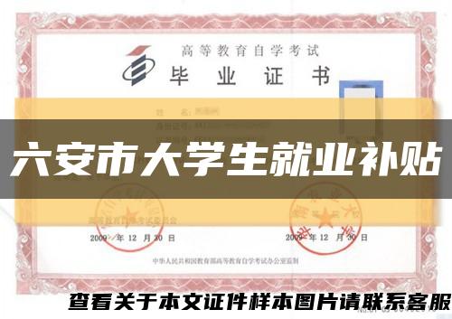 六安市大学生就业补贴缩略图