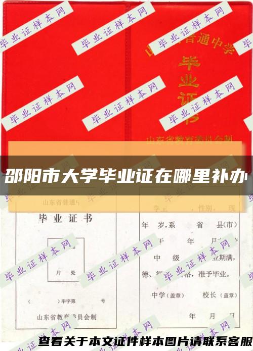 邵阳市大学毕业证在哪里补办缩略图