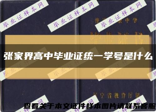 张家界高中毕业证统一学号是什么缩略图