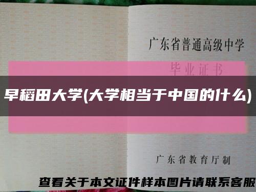 早稻田大学(大学相当于中国的什么)缩略图
