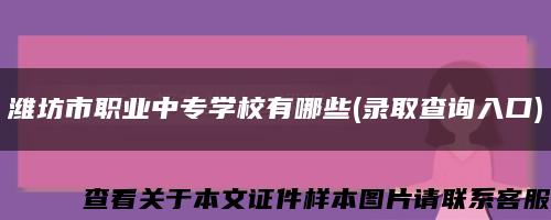 潍坊市职业中专学校有哪些(录取查询入口)缩略图