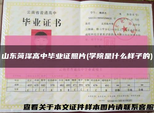 山东菏泽高中毕业证照片(学院是什么样子的)缩略图
