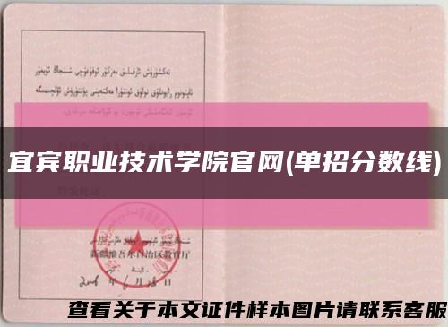 宜宾职业技术学院官网(单招分数线)缩略图