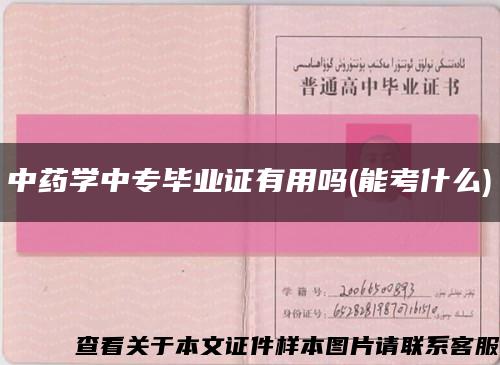 中药学中专毕业证有用吗(能考什么)缩略图