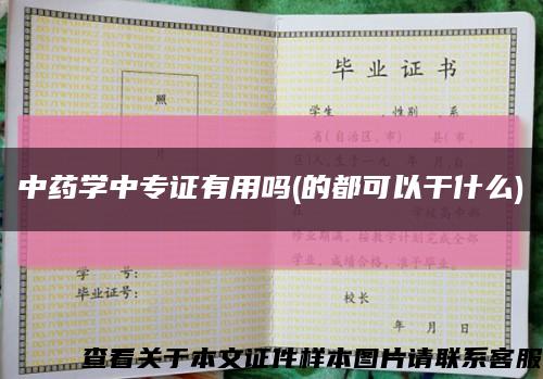 中药学中专证有用吗(的都可以干什么)缩略图
