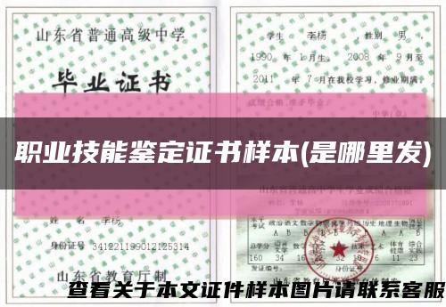 职业技能鉴定证书样本(是哪里发)缩略图