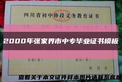 2000年张家界市中专毕业证书模板缩略图