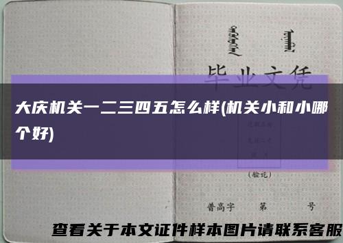 大庆机关一二三四五怎么样(机关小和小哪个好)缩略图
