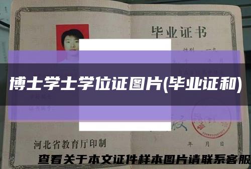 博士学士学位证图片(毕业证和)缩略图