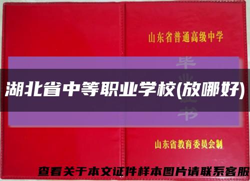 湖北省中等职业学校(放哪好)缩略图