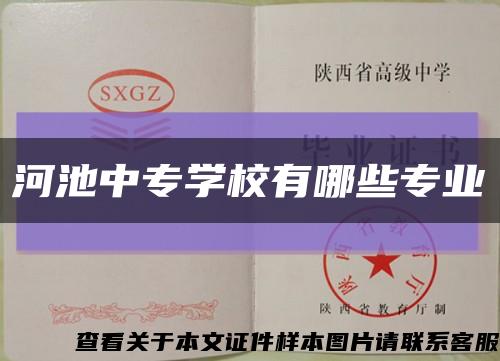 河池中专学校有哪些专业缩略图