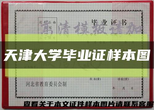 天津大学毕业证样本图缩略图