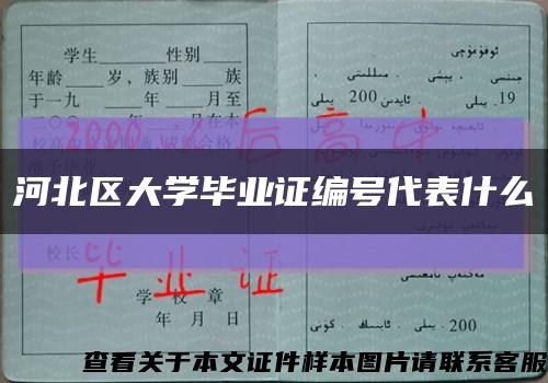河北区大学毕业证编号代表什么缩略图