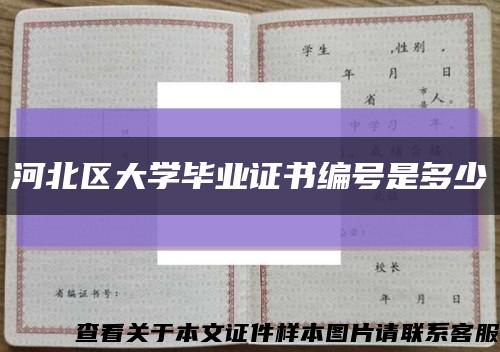 河北区大学毕业证书编号是多少缩略图
