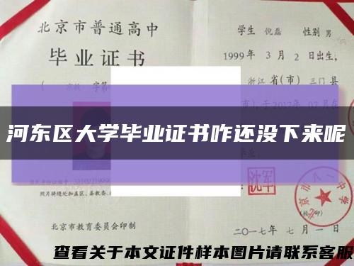 河东区大学毕业证书咋还没下来呢缩略图