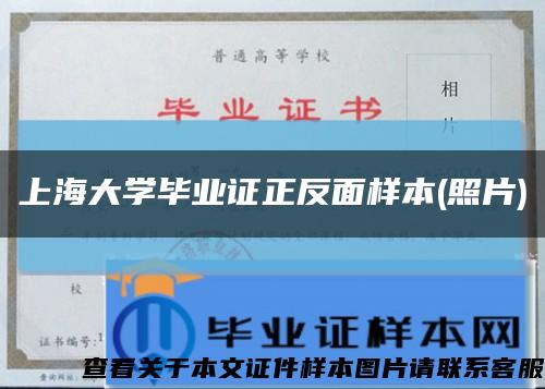 上海大学毕业证正反面样本(照片)缩略图