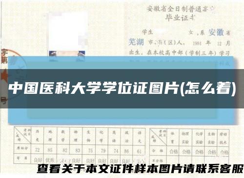 中国医科大学学位证图片(怎么着)缩略图