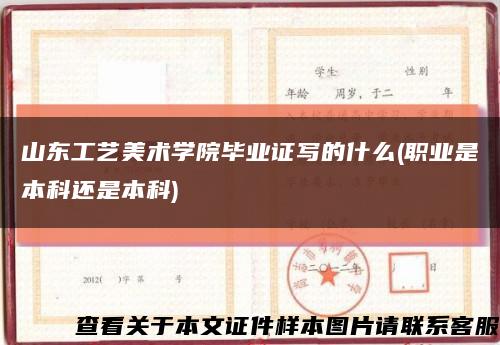 山东工艺美术学院毕业证写的什么(职业是本科还是本科)缩略图