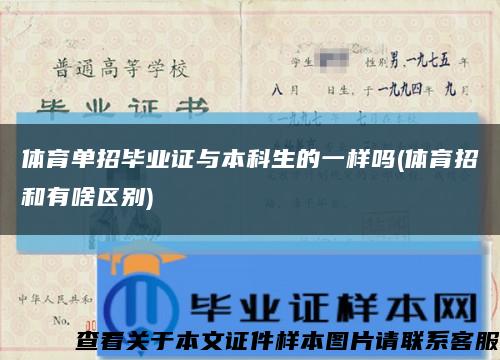 体育单招毕业证与本科生的一样吗(体育招和有啥区别)缩略图