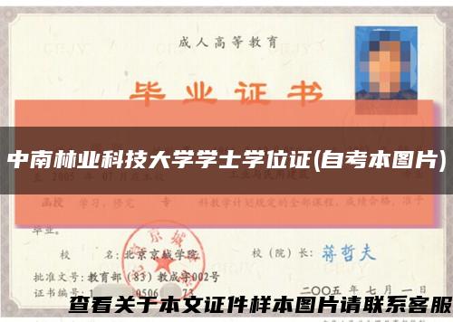 中南林业科技大学学士学位证(自考本图片)缩略图