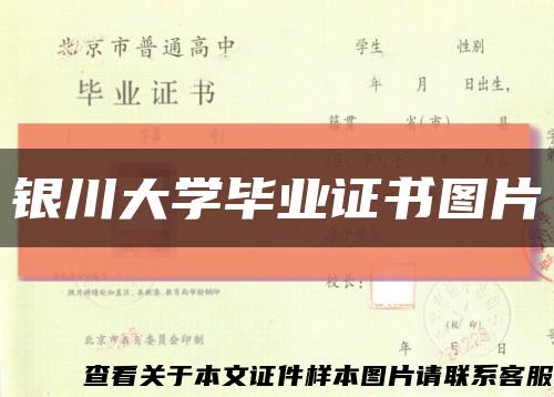 银川大学毕业证书图片缩略图