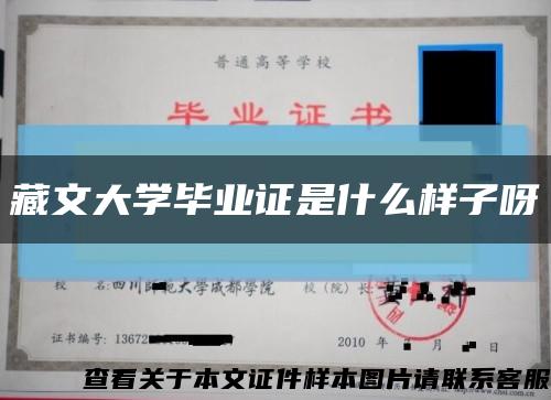 藏文大学毕业证是什么样子呀缩略图