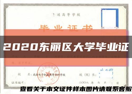 2020东丽区大学毕业证缩略图