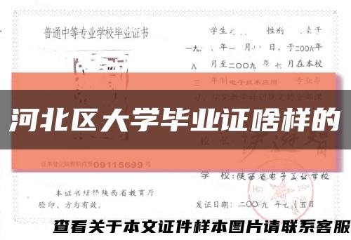 河北区大学毕业证啥样的缩略图