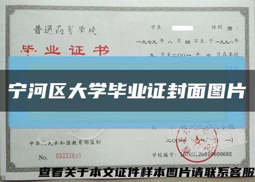 宁河区大学毕业证封面图片缩略图