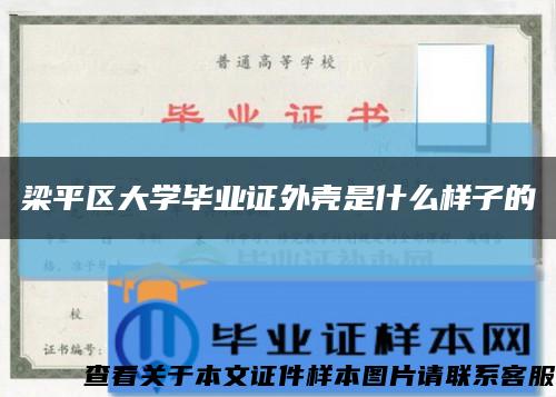 梁平区大学毕业证外壳是什么样子的缩略图