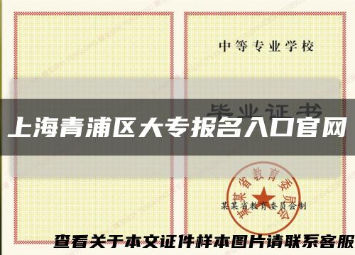 上海青浦区大专报名入口官网缩略图