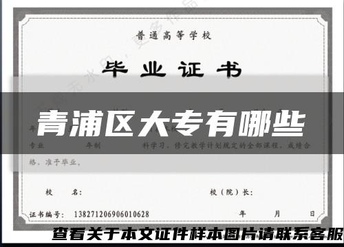 青浦区大专有哪些缩略图