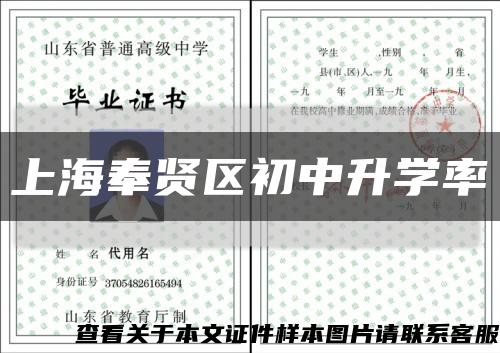 上海奉贤区初中升学率缩略图