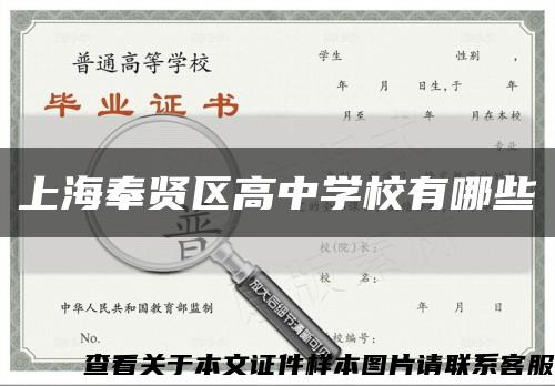 上海奉贤区高中学校有哪些缩略图