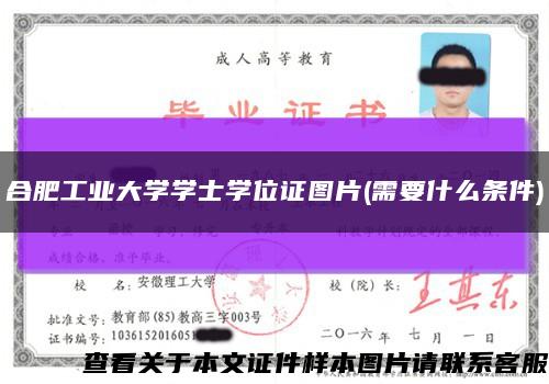 合肥工业大学学士学位证图片(需要什么条件)缩略图