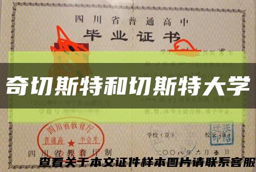 奇切斯特和切斯特大学缩略图