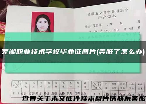芜湖职业技术学校毕业证图片(弄脏了怎么办)缩略图