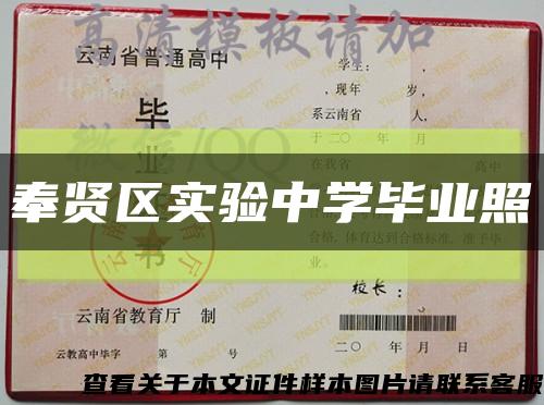 奉贤区实验中学毕业照缩略图