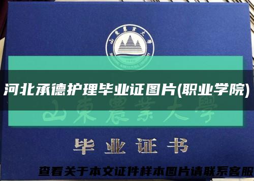 河北承德护理毕业证图片(职业学院)缩略图