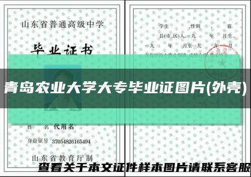 青岛农业大学大专毕业证图片(外壳)缩略图