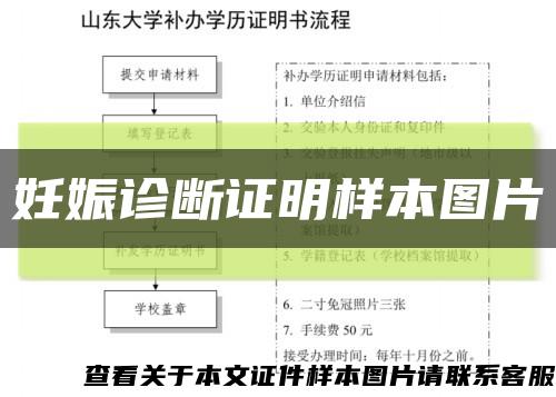 妊娠诊断证明样本图片缩略图
